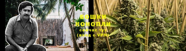 jwh Богородск