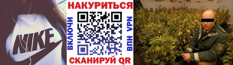 Каннабис сатива  Белоусово 